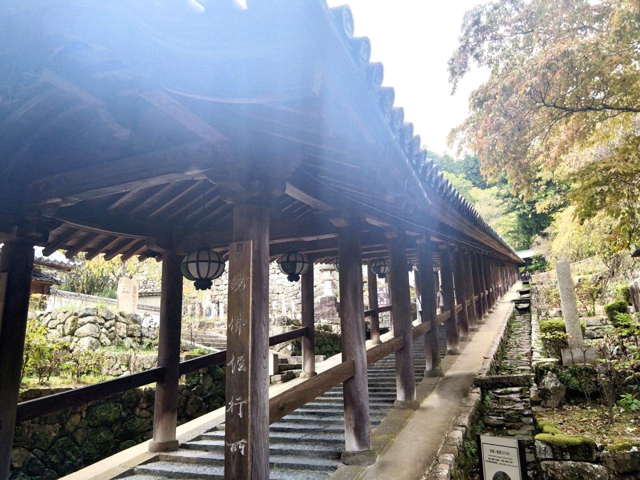 長谷寺1